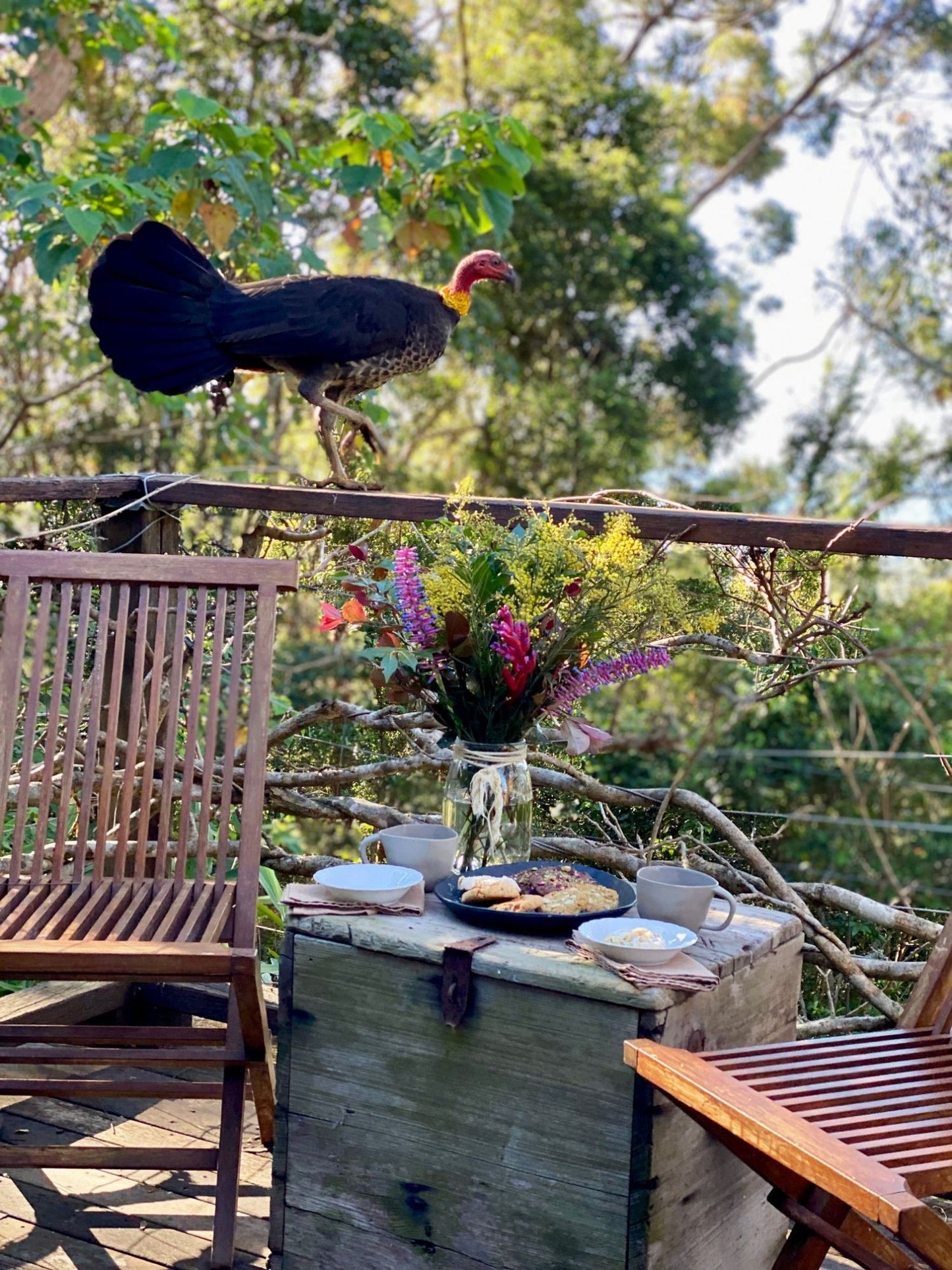 Scrub Turkish Delights